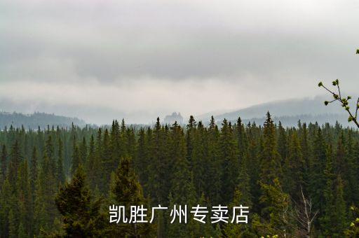凱勝廣州專賣店