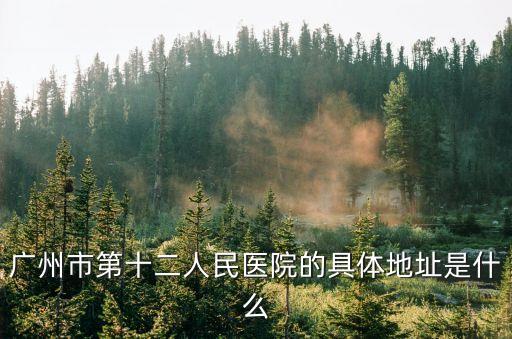 廣廣州市第十二人民醫院，廣州市第十二人民醫院的具體地址是什么