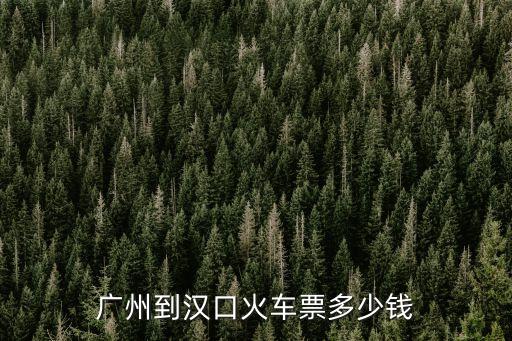廣州到漢口火車票多少錢