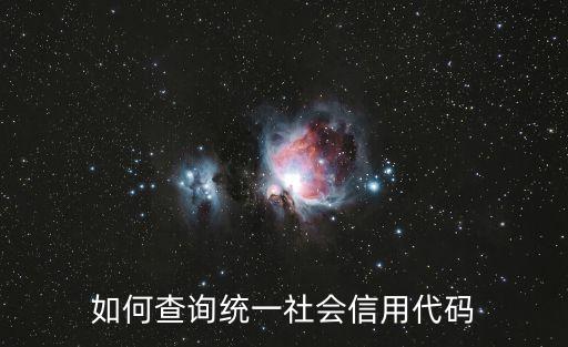 如何查詢統(tǒng)一社會信用代碼