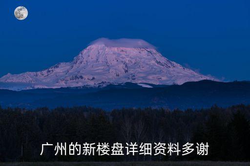 廣州的新樓盤詳細資料多謝