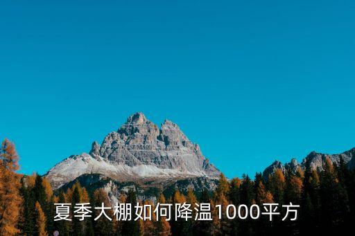 夏季大棚如何降溫1000平方
