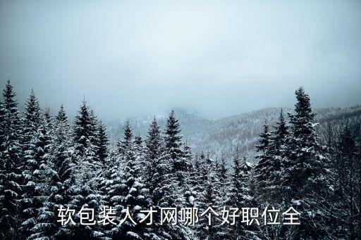 軟包裝人才網哪個好職位全