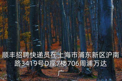 上海市浦東惠南鎮(zhèn)招聘快遞員，上海浦東新區(qū)八百伴的快遞員請(qǐng)進(jìn)來