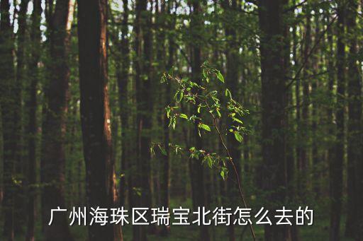 廣州海珠區(qū)瑞寶北街怎么去的
