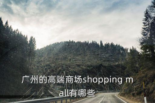逛大型商場廣州，請問一下廣州比較好逛的大型商場