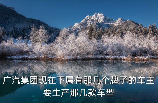 廣州產(chǎn)哪些車子，廣汽集團(tuán)現(xiàn)在下屬有那幾個(gè)牌子的車主要生產(chǎn)那幾款車型