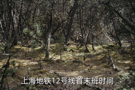 上海市12號線首末班車時間表，上海地鐵12號線運行時間
