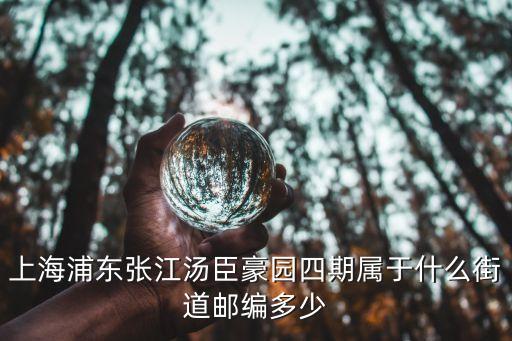 上海市浦東區湯臣豪園，上海浦東新區廣蘭路50弄湯臣豪庭屬于哪個派出所管轄