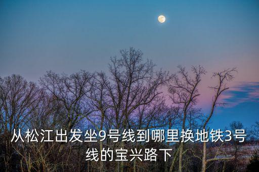 上海市北寶興路延長路附近地鐵，誰能告訴我坐地鐵幾號線能到北寶興路200號