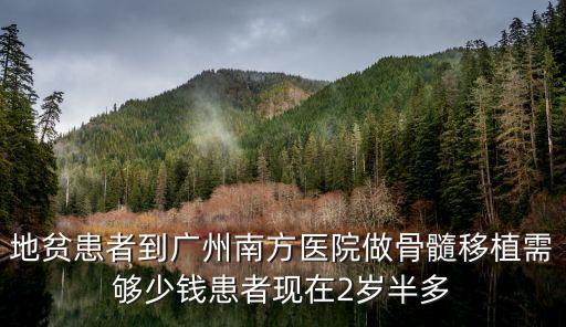 地貧患者到廣州南方醫院做骨髓移植需夠少錢患者現在2歲半多
