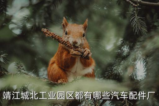 靖江城北工業(yè)園區(qū)都有哪些汽車配件廠