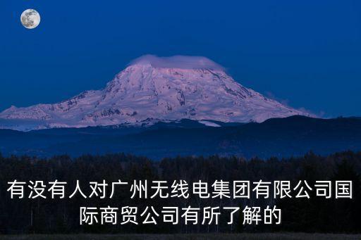 有沒有人對廣州無線電集團有限公司國際商貿公司有所了解的