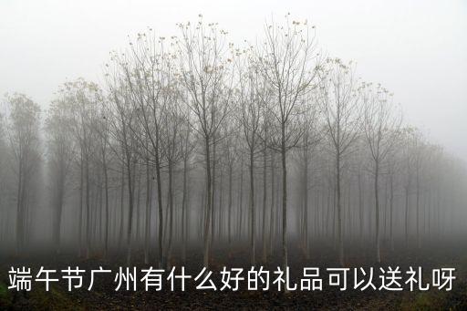 廣州龍舟節紀念，端午節廣州有什么好的禮品可以送禮呀