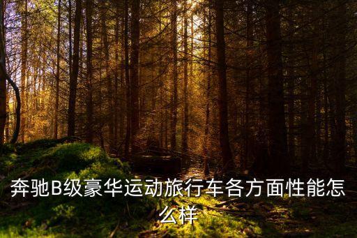 廣州車展奔馳b，廣州車展中云盈國際車入股的奔馳在幾號廳