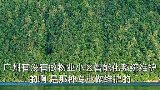 廣州有沒有做物業小區智能化系統維護的啊 是那種專業做維護的