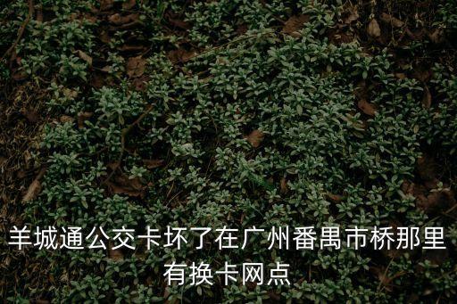 羊城通公交卡壞了在廣州番禺市橋那里有換卡網(wǎng)點(diǎn)