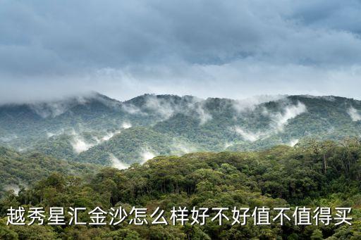 越秀星匯金沙怎么樣好不好值不值得買