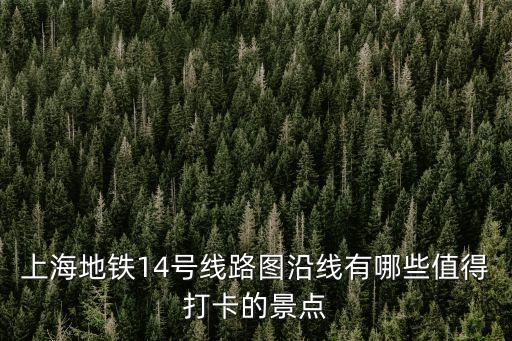 上海地鐵14號(hào)線(xiàn)路圖沿線(xiàn)有哪些值得打卡的景點(diǎn)