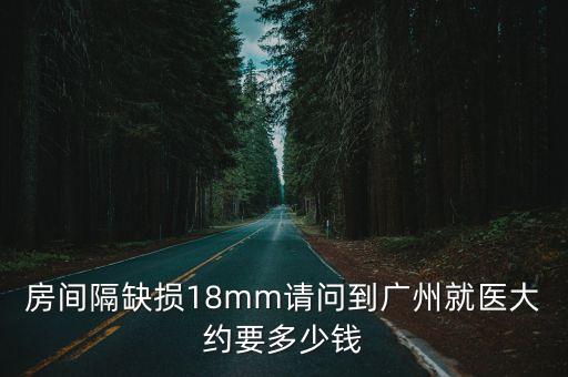 房間隔缺損18mm請問到廣州就醫(yī)大約要多少錢