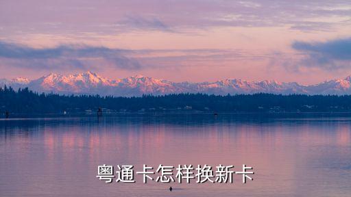 廣州公交卡換新卡怎么換，粵通卡怎樣換新卡