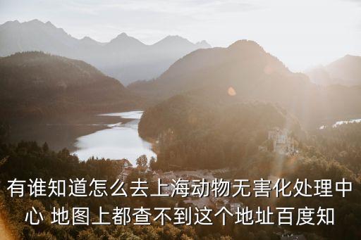 上海市動物無害化處理中心電話，上海寵物火葬場哪有啊