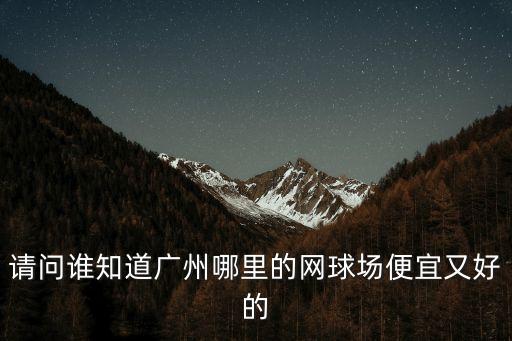 請(qǐng)問(wèn)誰(shuí)知道廣州哪里的網(wǎng)球場(chǎng)便宜又好的