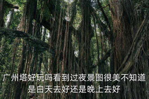廣州塔好玩嗎看到過夜景圖很美不知道是白天去好還是晚上去好