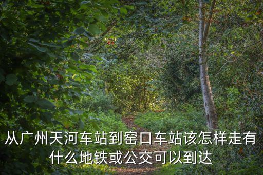 從廣州天河車站到窯口車站該怎樣走有什么地鐵或公交可以到達