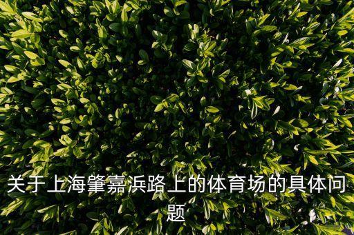 關(guān)于上海肇嘉浜路上的體育場的具體問題