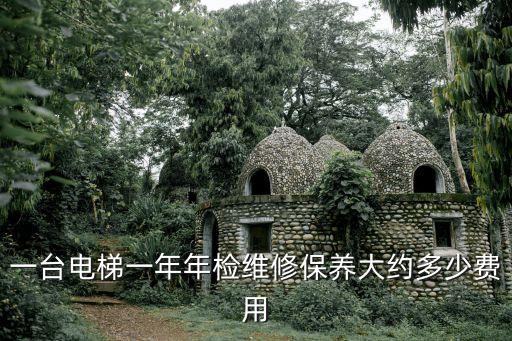 一臺電梯一年年檢維修保養大約多少費用
