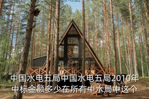 中國水電五局中國水電五局2010年中標金額多少在所有中水局中這個