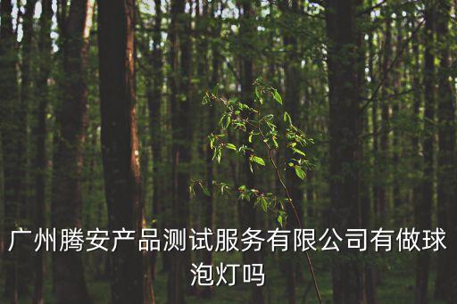 廣州騰安產品測試服務有限公司有做球泡燈嗎