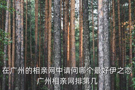 在廣州的相親網中請問哪個最好伊之戀廣州相親網排第幾