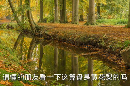 請(qǐng)懂的朋友看一下這算盤是黃花梨的嗎