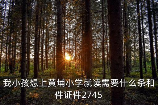 廣州黃埔十四期小學(xué)招生，我小孩想上黃埔小學(xué)就讀需要什么條和件證件2745