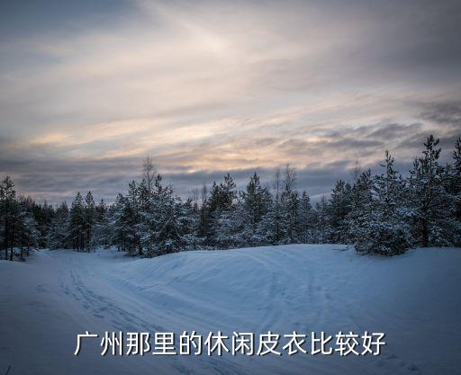 廣州皮衣哪家靠譜，廣州那里的休閑皮衣比較好