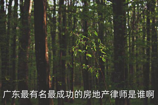 廣州比較好的房地產(chǎn)律師排名，廣州哪個律師最出名
