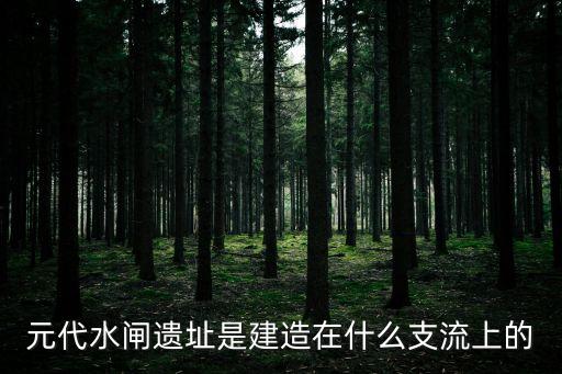 元代水閘遺址是建造在什么支流上的