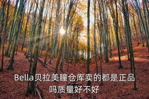 Bella貝拉美瞳倉庫賣的都是正品嗎質量好不好