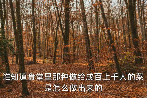 誰知道食堂里那種做給成百上千人的菜是怎么做出來的
