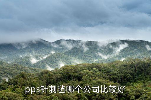 廣州pps針刺氈濾袋廠家，布袋除塵器進口pps濾袋