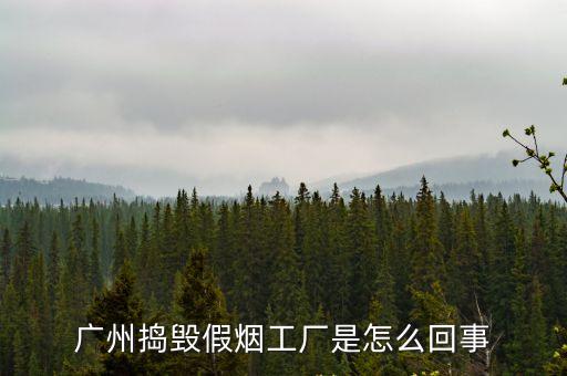 廣州搗毀假煙工廠是怎么回事