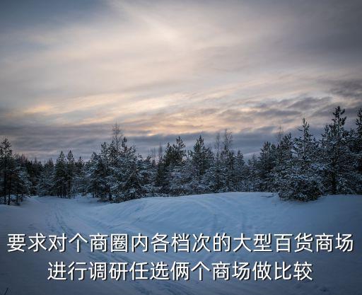 要求對個商圈內各檔次的大型百貨商場進行調研任選倆個商場做比較