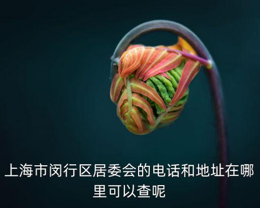 上海市閔行區七寶鎮社區電話，上海市閔行區居委會的電話和地址在哪里可以查呢
