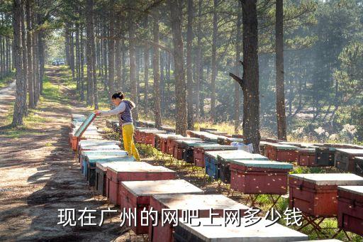 現(xiàn)在廣州的網(wǎng)吧上網(wǎng)多少錢