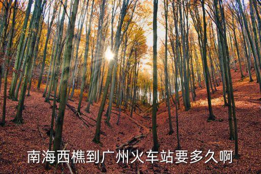 西樵去廣州省站需要多長時間，從佛山西樵到廣州火車站要多久