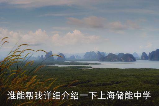 誰能幫我詳細介紹一下上海儲能中學
