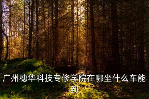 廣州穗華科技專修學院在哪坐什么車能到