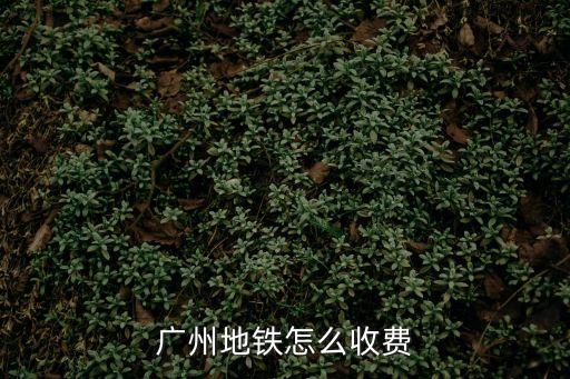 廣州地鐵怎么收費